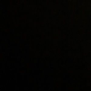 Meet your Posher, Jasmin